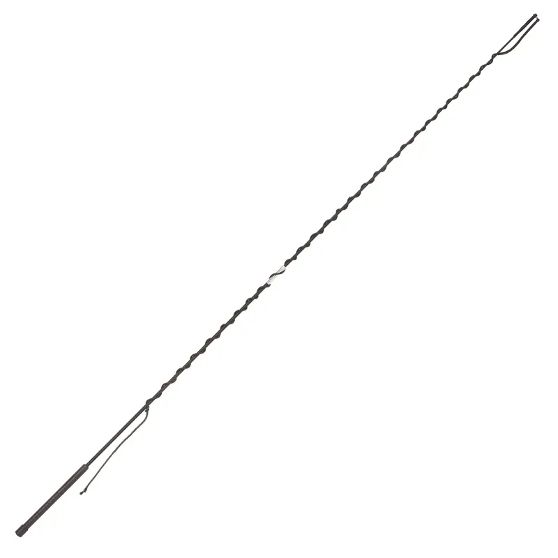 Fleck 2-Piece Lunge Whip - Blue - 200cm