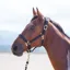 Shires Topaz Headcollar - Black