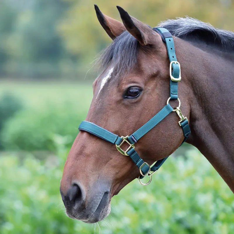 Shires Topaz Headcollar - Dark Green