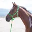 Shires Topaz Padded Headcollar - Green