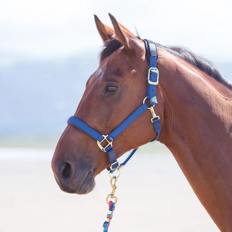 Shires Topaz Headcollar - Navy