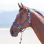 Shires Topaz Headcollar - Navy