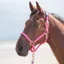 Shires Topaz Headcollar - Pink