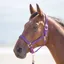 Shires Topaz Headcollar - Purple