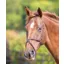 Mexican Grakle / Grackle Noseband - Brown