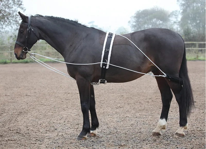 Shires Lunging Aid - One Size