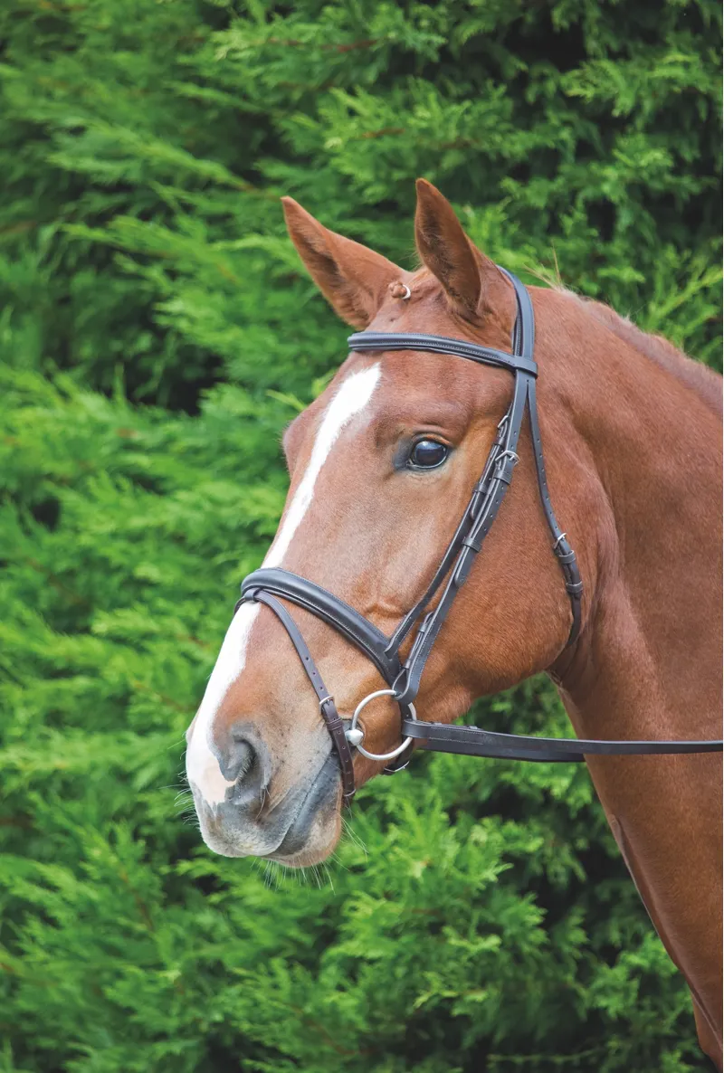 Velociti GARA Comfort Fit Flash Bridle - Brown