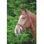 Velociti GARA Comfort Fit Flash Bridle - Brown