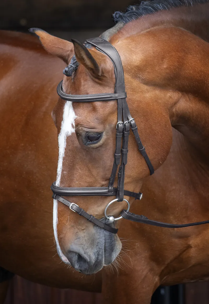 Velociti Padded Raised Flash Bridle - Black