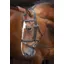 Velociti Padded Raised Flash Bridle - Black