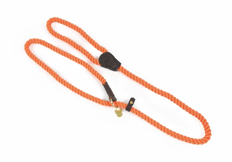 Digby and Fox Rope Slip Dog Lead - Orange