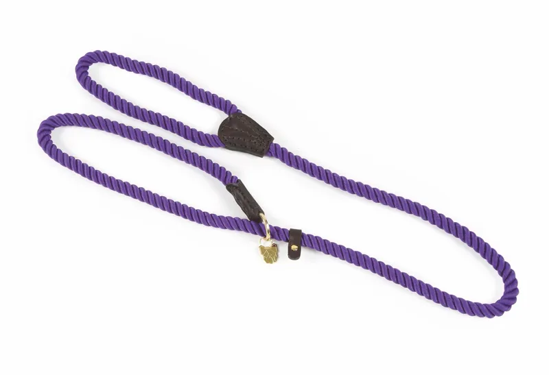 Digby and Fox Rope Slip Dog Lead - Purple