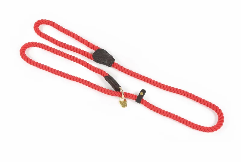 Digby and Fox Rope Slip Dog Lead - Red
