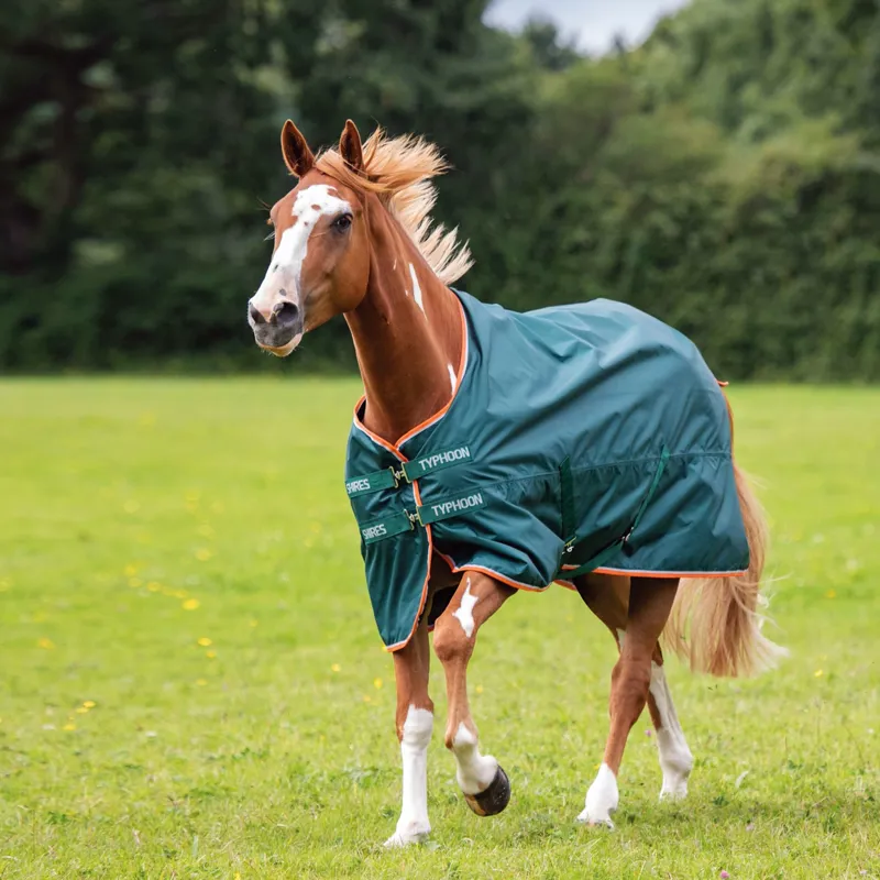 Typhoon Lite Turnout Rug - Green