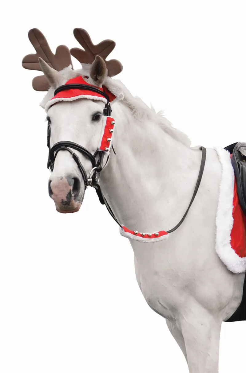 Hy Christmas Reindeer Antlers 