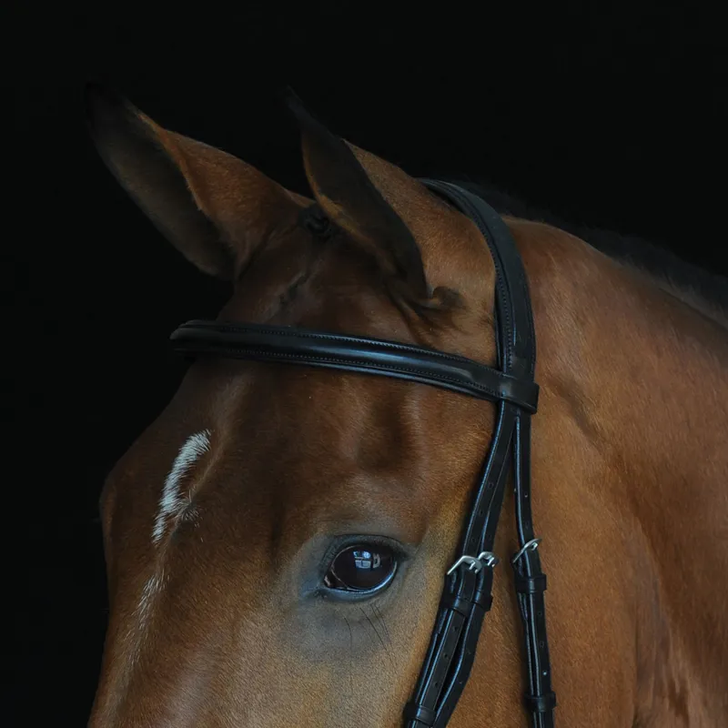 Collegiate Comfort Cavesson Bridle - Black-1