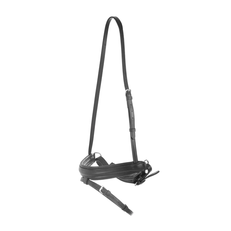 Collegiate Padded Crank Flash Noseband - Black