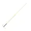 Dublin Brights Lunge Whip - Lime Green - 160cm
