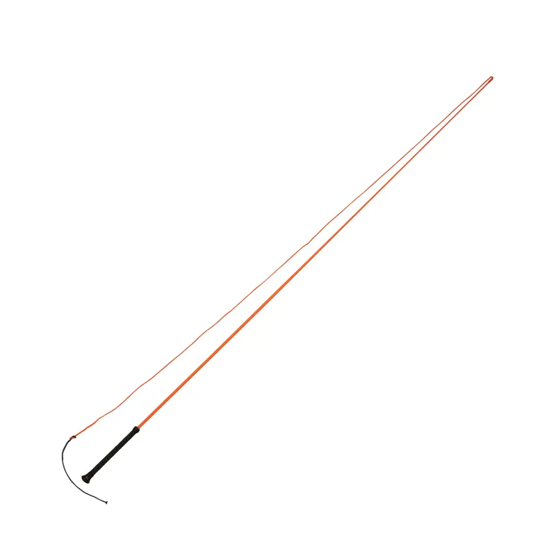 Dublin Brights Lunge Whip - Orange - 160cm