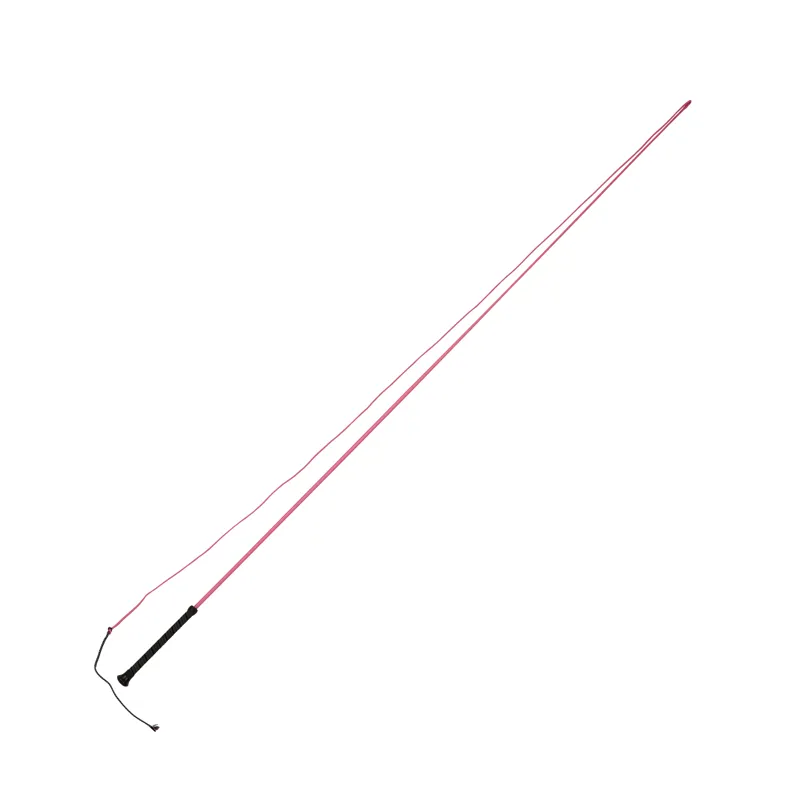 Dublin Brights Lunge Whip - Hot Pink - 160cm