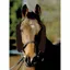 NuuMed Wool French Blinkers / Rein Sleeves - Brown