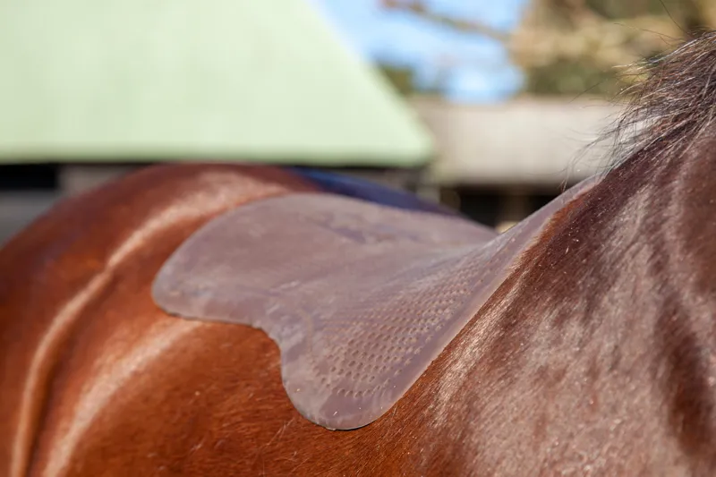 Acavallo Non Slip Gel Pad - Brown - Large-1