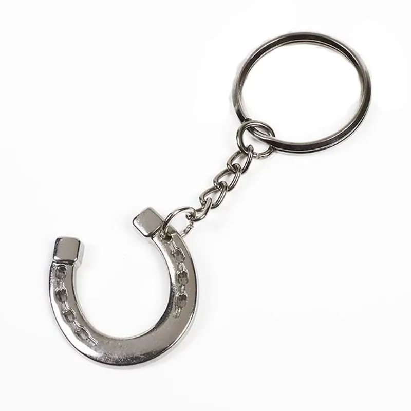 Horseshoe Keyring