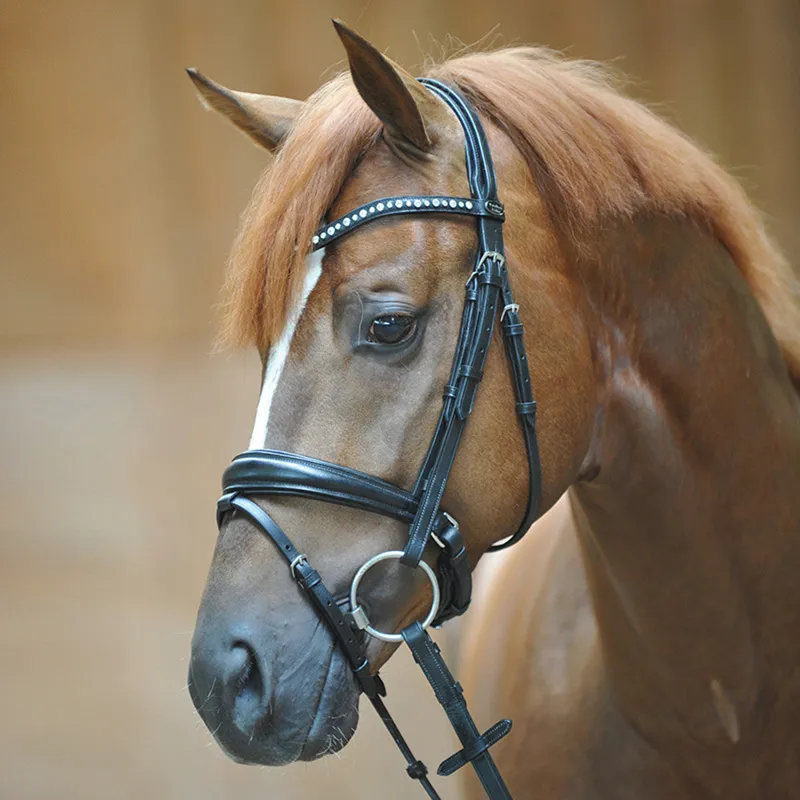 Kavalkade Mia Padded Flash Bridle