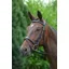Hy Padded Flash Bridle With Rubber Grip Reins - Black