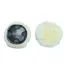 Ascot Spare Pad for Grackle - Black
