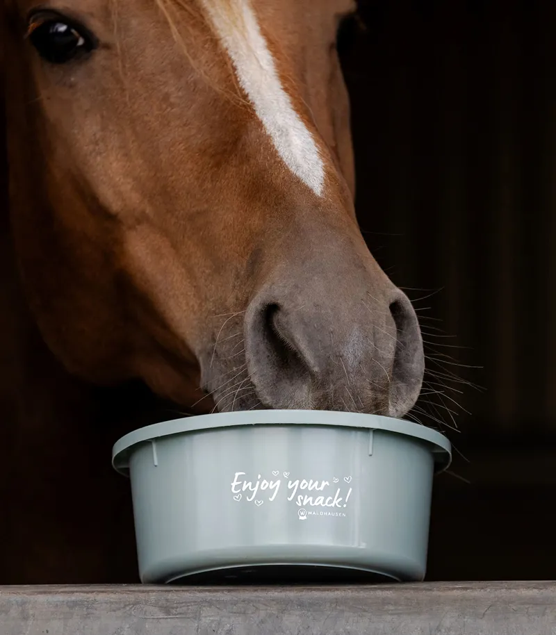 Waldhausen 2lt Treat Bowl - Turquoise-2