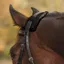 Real Lambskin Noseband/Poll Sleeve - 28cm - Black