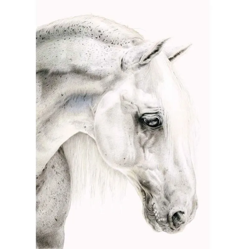 Card - Flea Bitten Grey - Blank Greetings Card