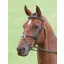 Salisbury Brackley Bridle - Australian Nut