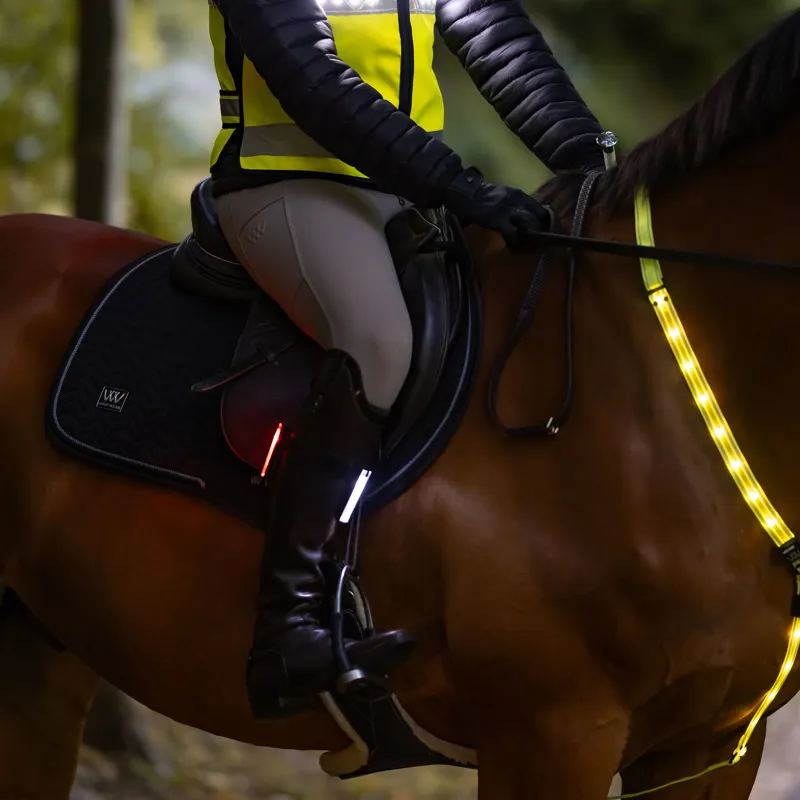 Woof Wear 3-in-1 Rider Safety Lights-4