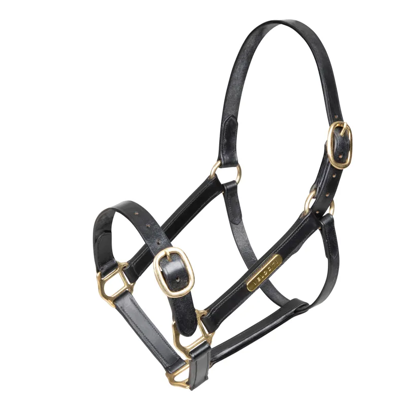 Fully Adjustable Leather Headcollar - Black