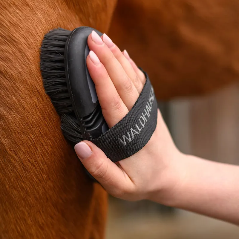 Waldhausen Flex Body Brush - Black-1