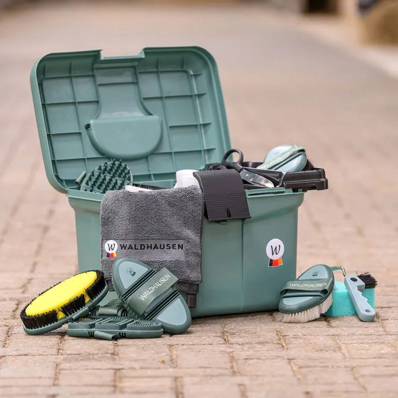 Waldhausen Flex Curry Comb - Mistletoe-4