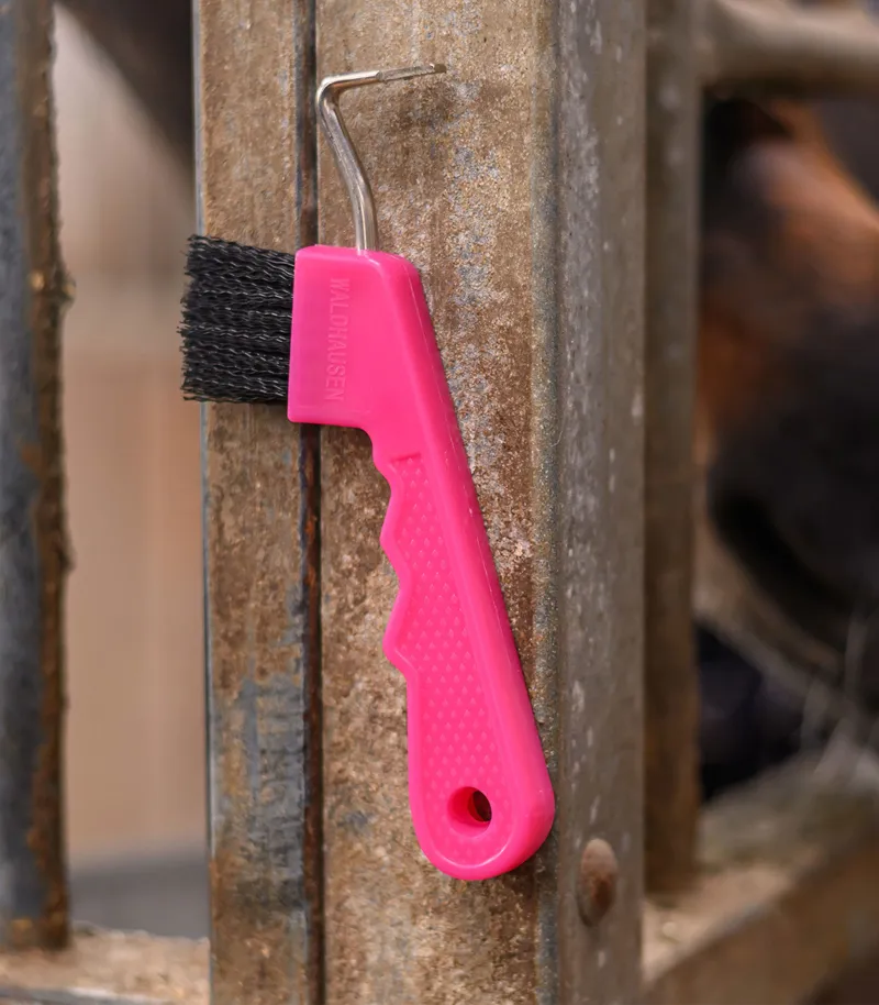 Hoof Pick Brush with Magnet - Pink-1