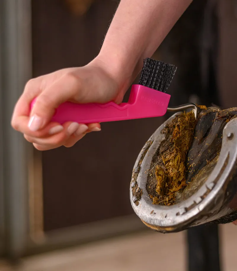 Hoof Pick Brush with Magnet - Pink-2