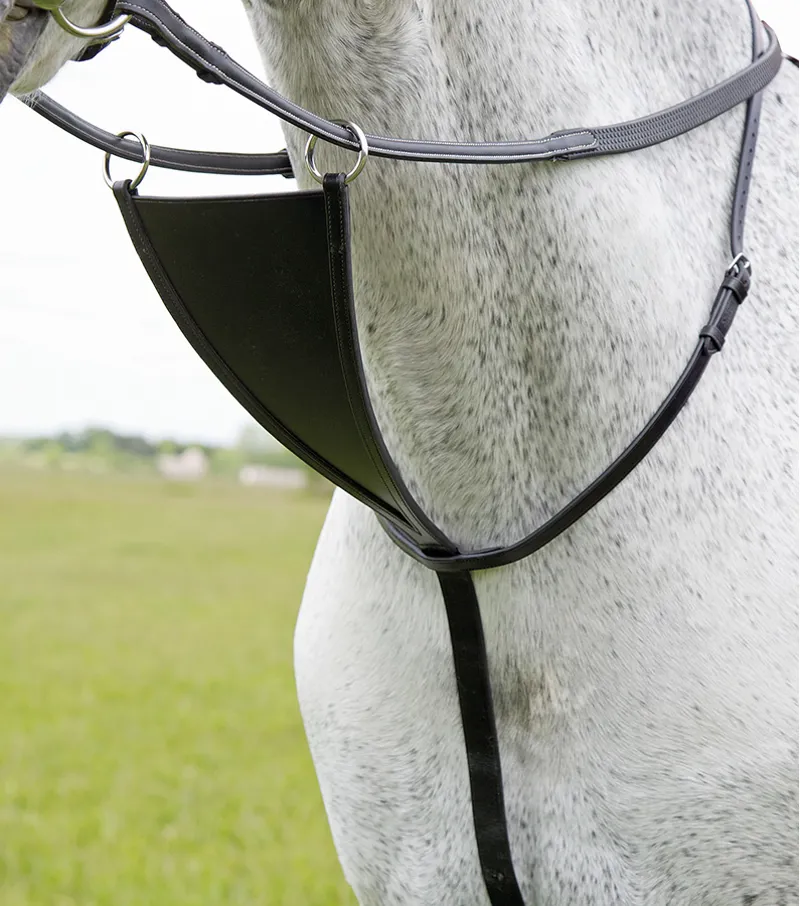 Bib Martingale - Brown