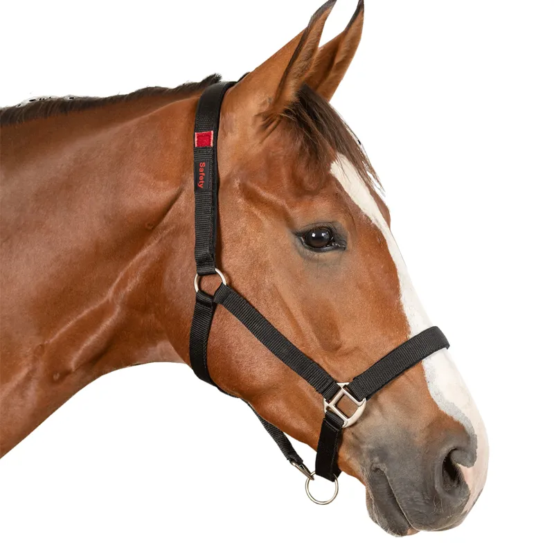 Waldhausen Fieldsafe Headcollar - Black-2