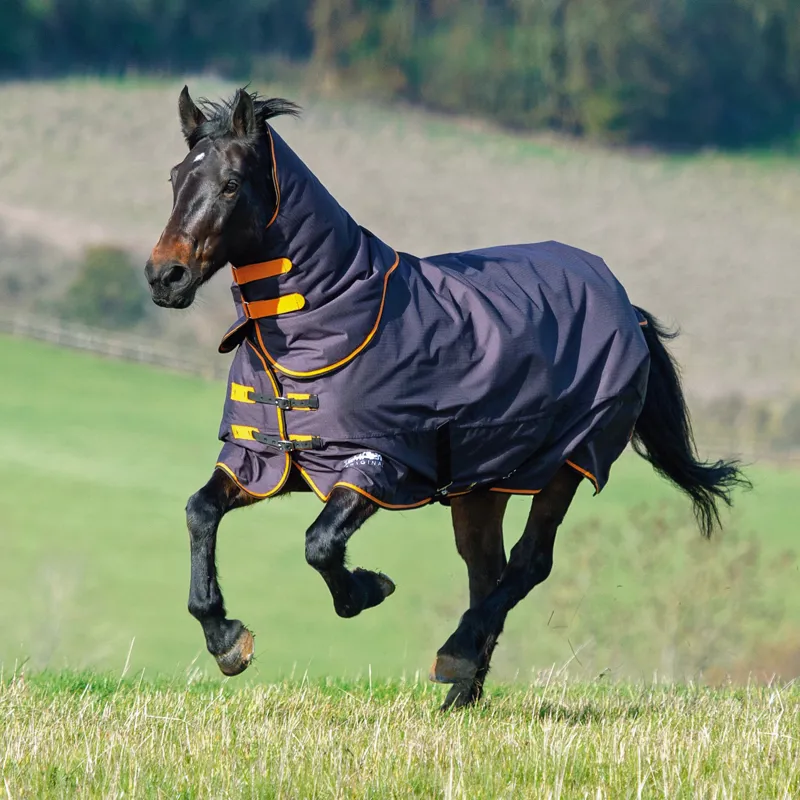 Tempest Original 200g Turnout Rug and Neck Set  - Black