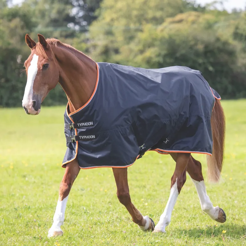 Typhoon 200 Turnout Rug BLACK 5ft3