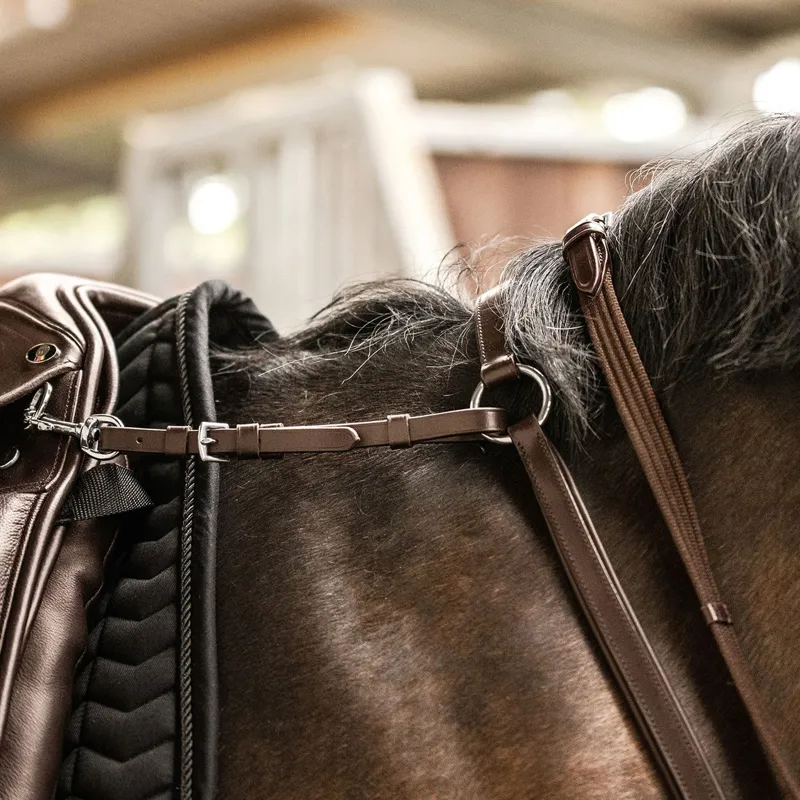 Waldhausen X-Line Padded Breastplate - Brown-2