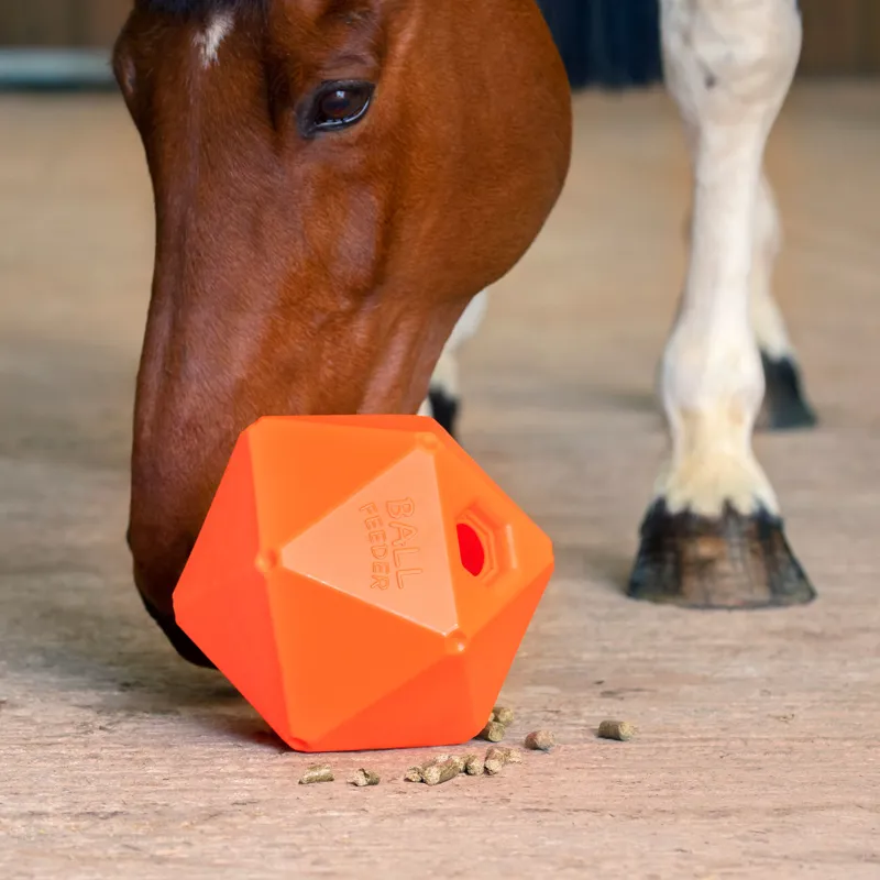 Shires 9 Inch Ball Feeder / Decahedron / Horse Treat Ball - Orange