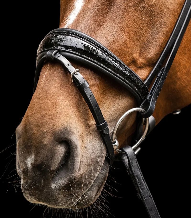 Waldhausen S-Line Magic Bridle - Black-2