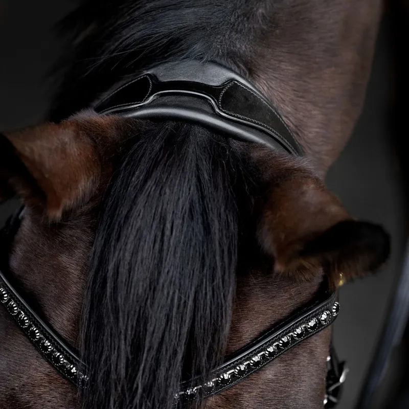 Waldhausen S-Line Black Shine Bridle-1