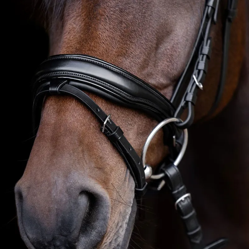 Waldhausen S-Line Black Shine Bridle-5