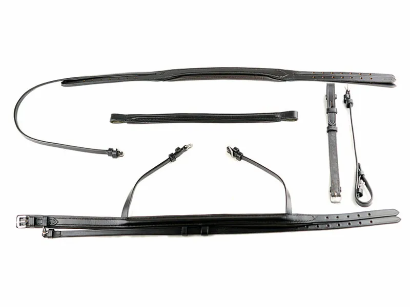 Ascot Comfort Flash Bridle - Black-4